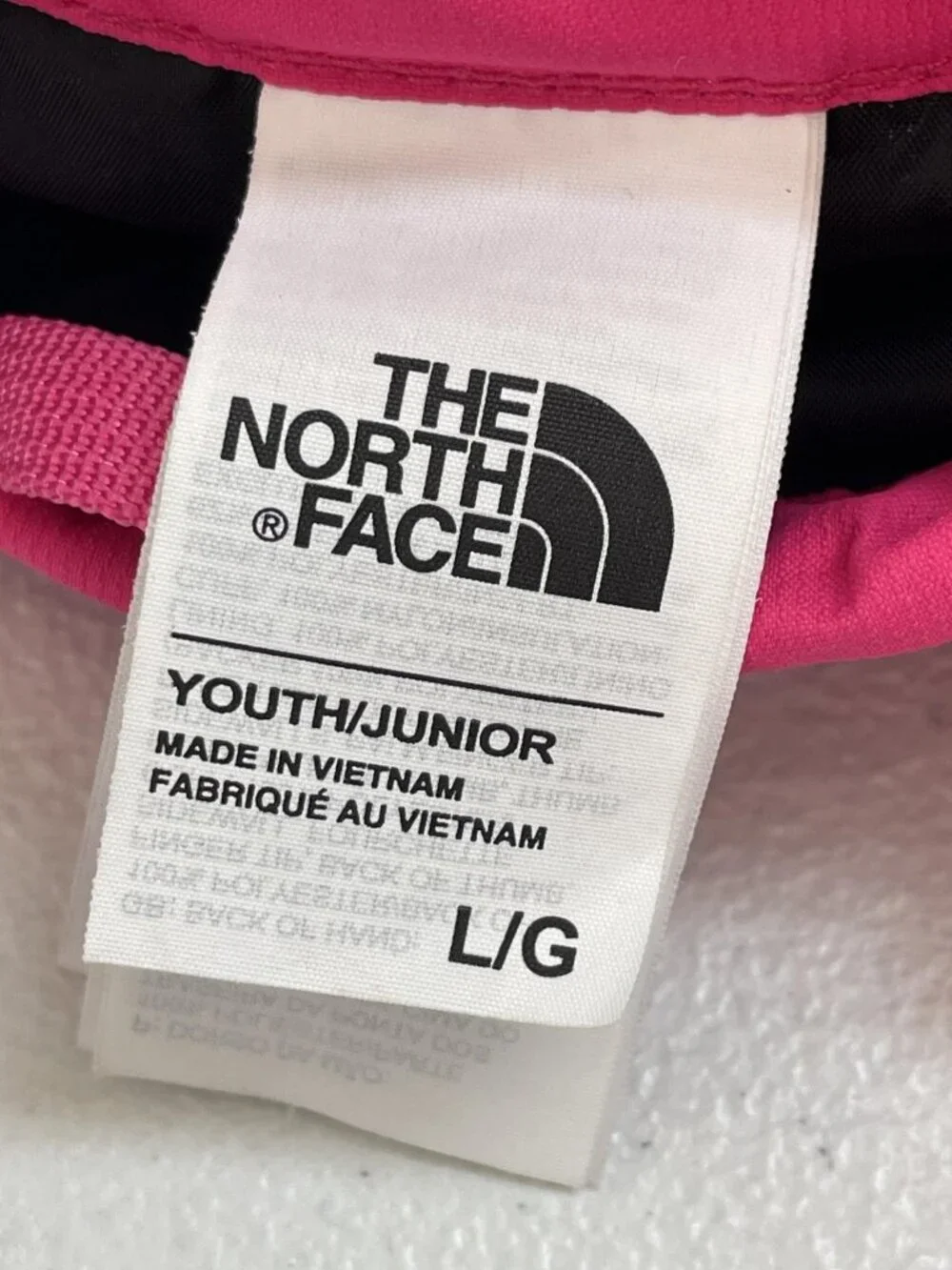 The North Face brand north